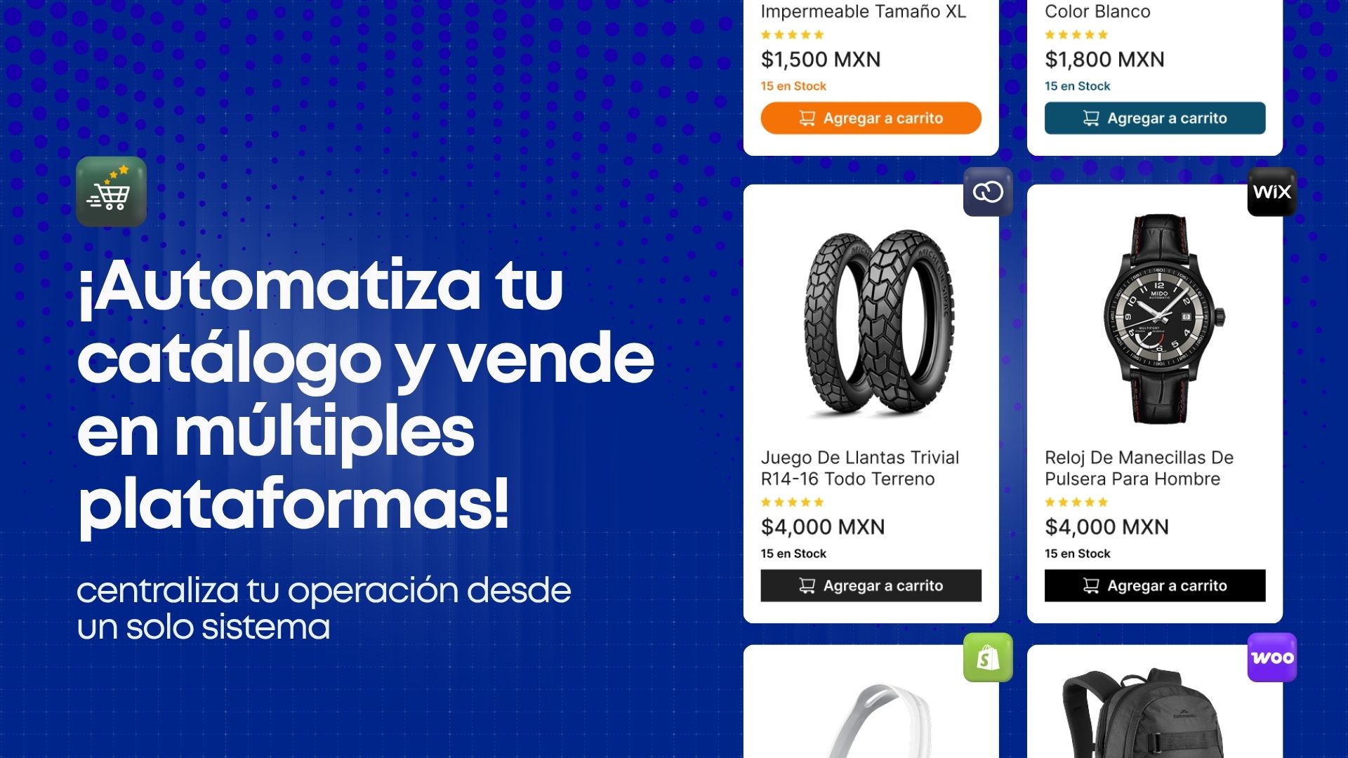 MicroZync &mdash;Picture &mdash; Funcionalidades